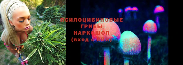 эйфоретик Армянск