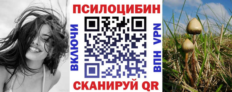 Псилоцибиновые грибы Cubensis  shop телеграм  Пущино 